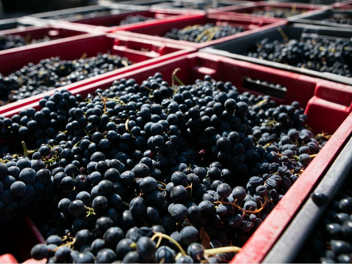 Ervedosa do Douro Quinta Da Gricha酒店 外观 照片