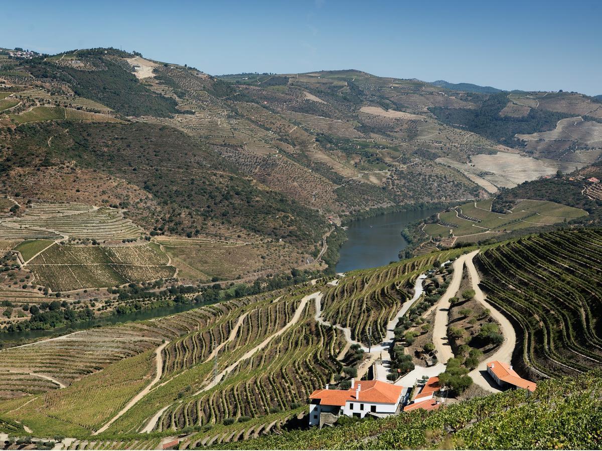 Ervedosa do Douro Quinta Da Gricha酒店 外观 照片