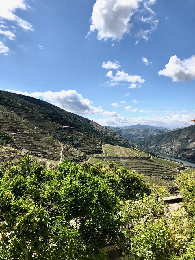 Ervedosa do Douro Quinta Da Gricha酒店 外观 照片