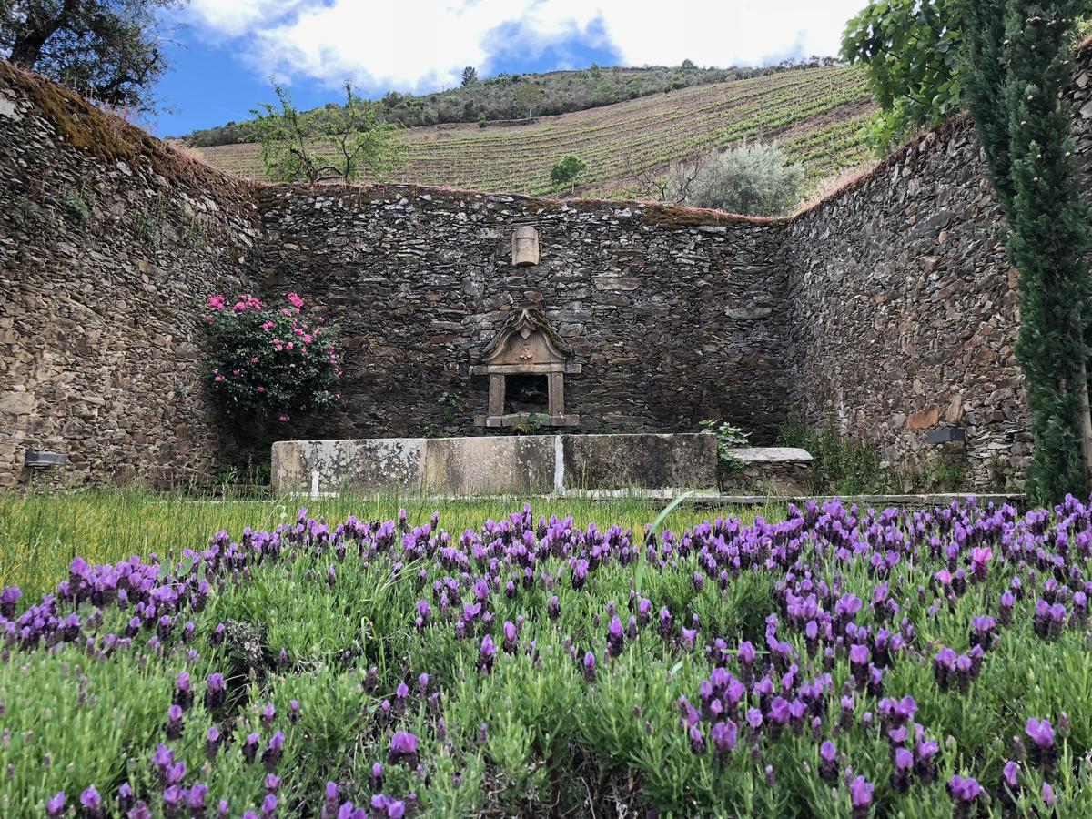 Ervedosa do Douro Quinta Da Gricha酒店 外观 照片
