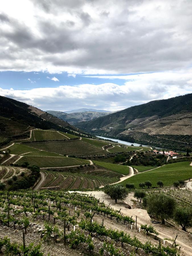 Ervedosa do Douro Quinta Da Gricha酒店 外观 照片