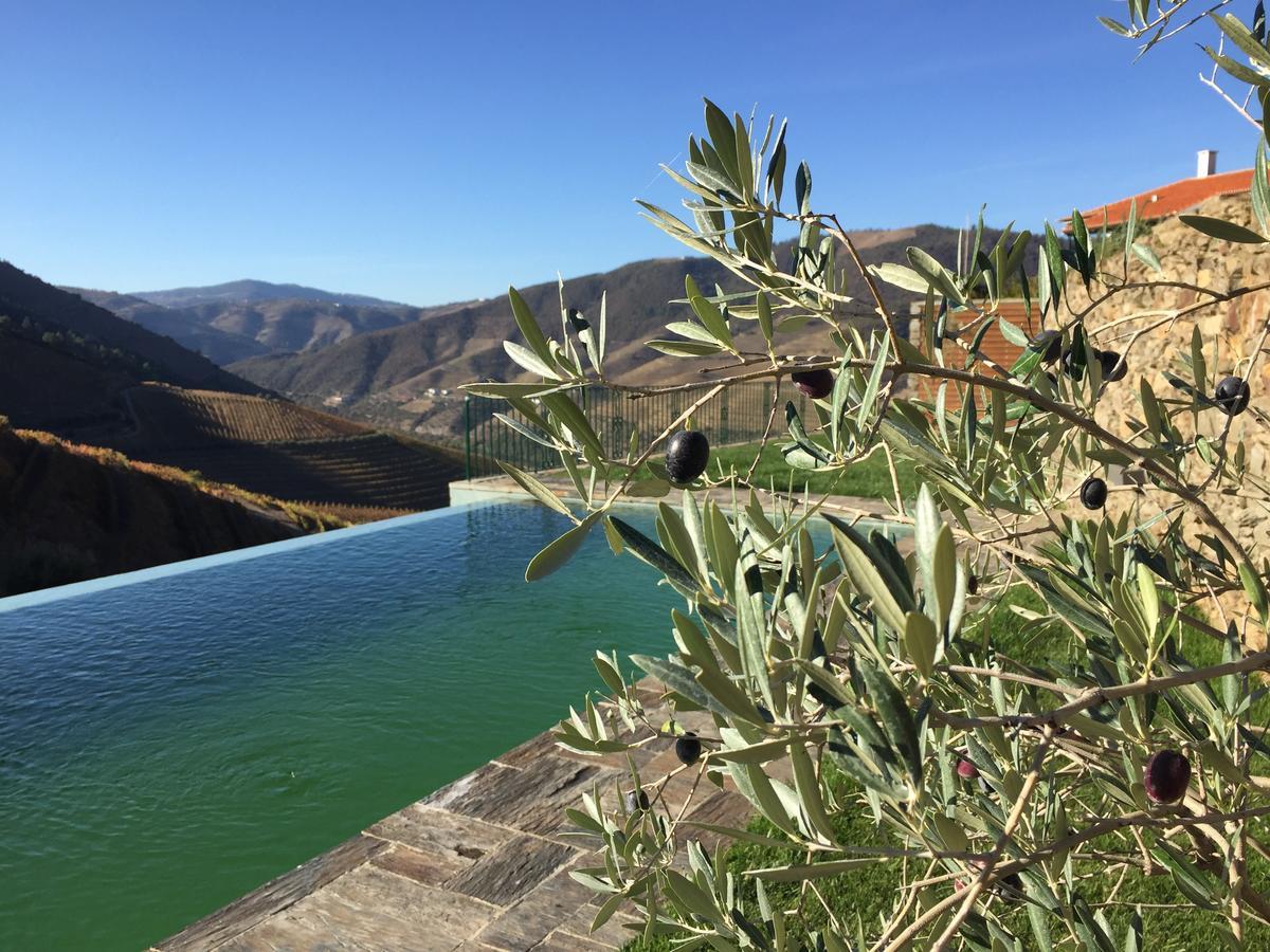 Ervedosa do Douro Quinta Da Gricha酒店 外观 照片